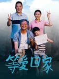 等爱回家海报