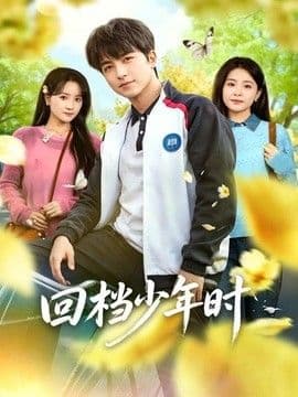 回档少年时海报