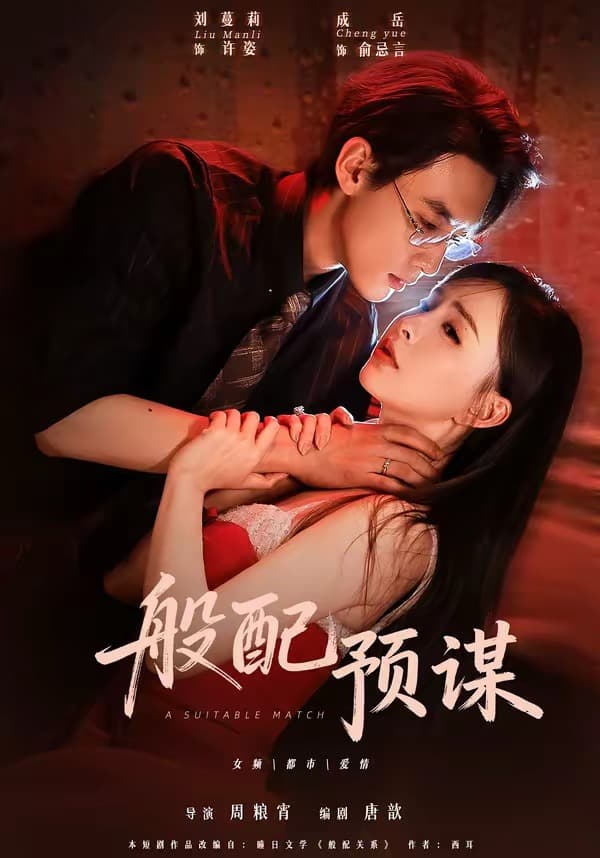 般配预谋海报