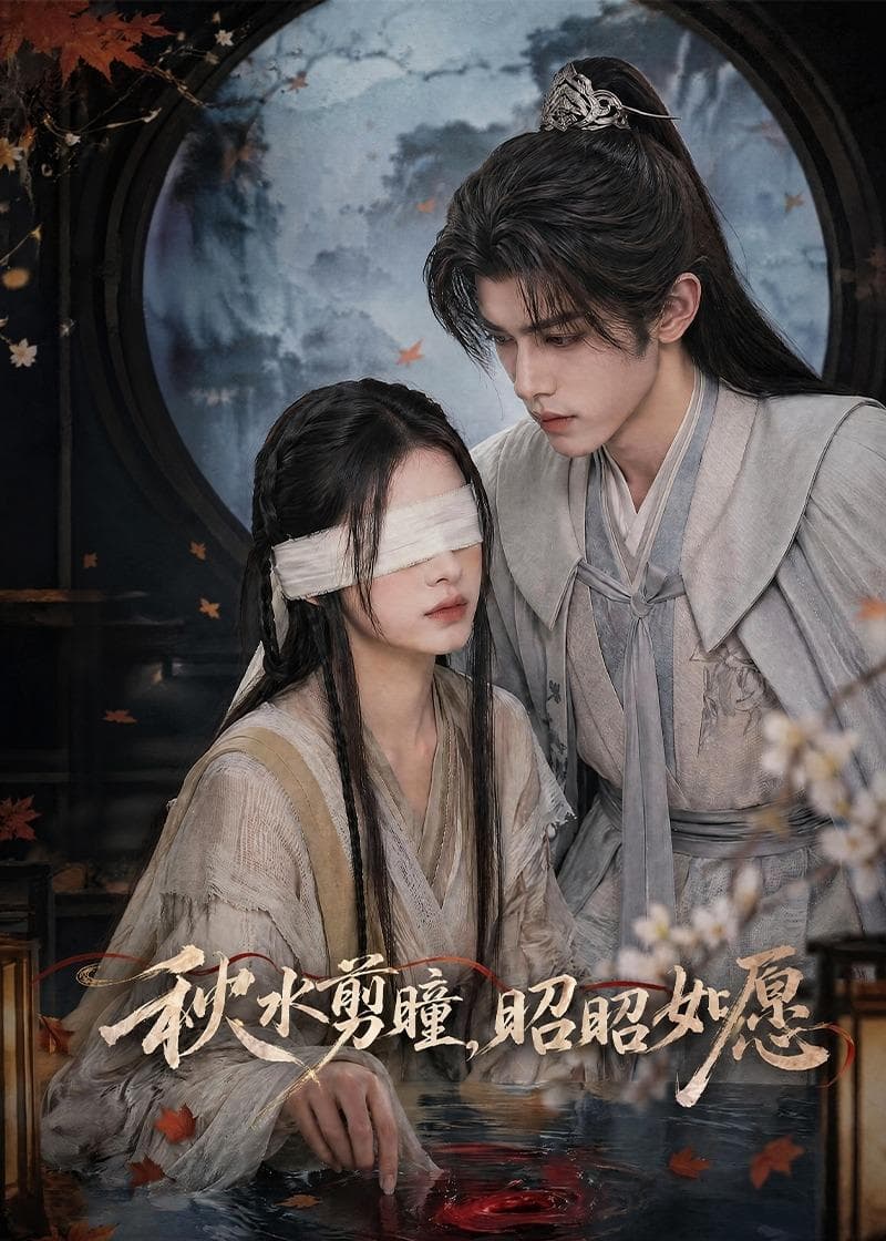 秋水剪瞳，昭昭如愿海报