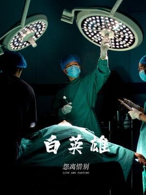 白英雄海报