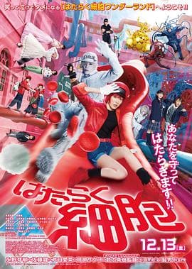 工作细胞真人版海报