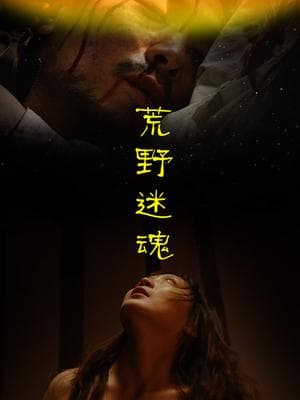 荒野迷魂海报