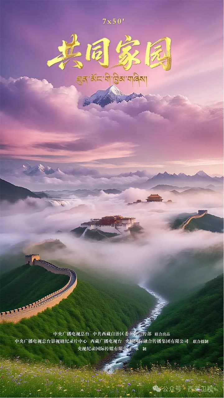 共同家园海报
