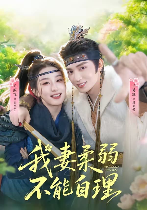 我妻柔弱不能自理海报