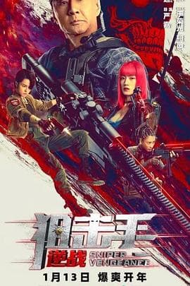 狙击手:逆战海报