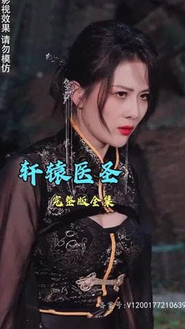 轩辕医圣海报