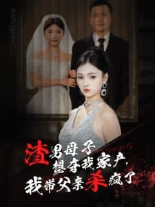 渣男母子想夺我家产我带父亲杀疯了海报