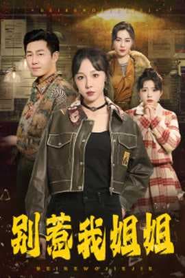 别惹我姐姐海报