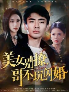 美女别撩，哥不玩闪婚海报