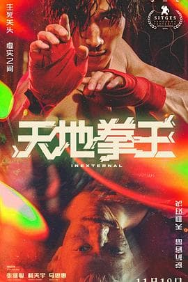 天地拳王粤语海报