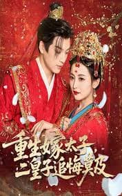 重生嫁太子二皇子追悔莫及海报