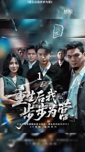 重生后我步步为营海报