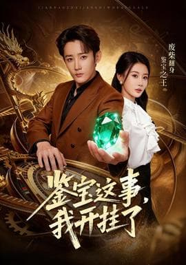 鉴宝这事，我开挂了海报