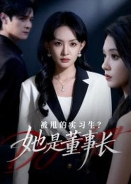 被甩的实习生？她是董事长！海报