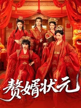 赘婿状元海报