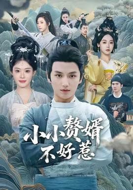 小小赘婿不好惹海报