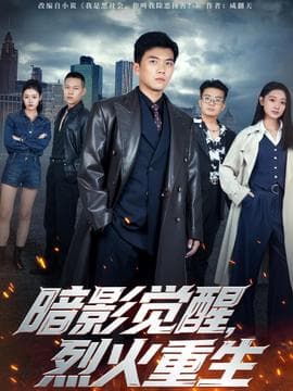暗影觉醒，烈火重生海报