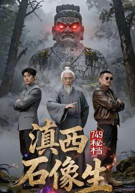 秘档滇西石像生海报