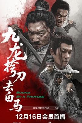 九龙挎刀去白马海报