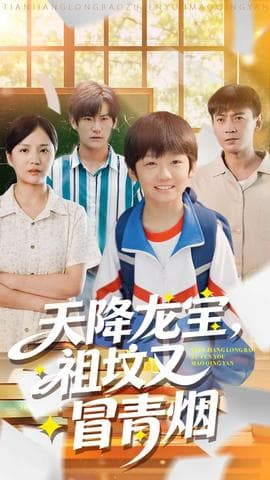 天降龙宝，祖坟又冒青烟了海报