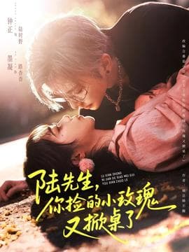 陆先生，你捡的小玫瑰又掀桌了海报