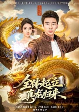 全体起立，真龙归来海报
