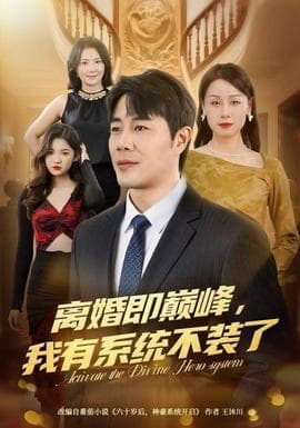 离婚即巅峰，我有系统不装了海报