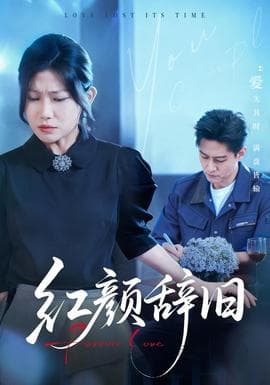 红颜辞旧海报