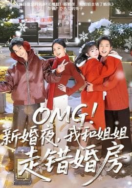 新婚夜，我和姐姐走错婚房海报