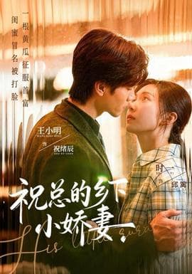 祝总的乡下小娇妻海报