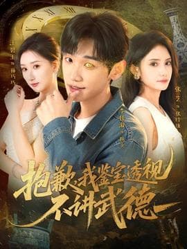 抱歉，我鉴宝透视不讲武德海报