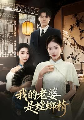 我的老婆是螳螂精海报