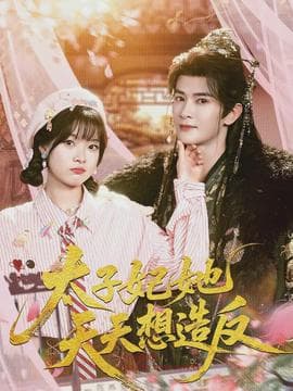 太子妃她天天想造反海报