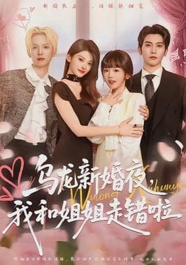 乌龙新婚夜，我和姐姐走错啦海报