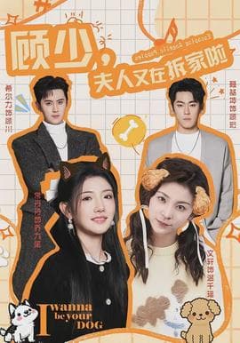 顾少，夫人又在拆家啦海报