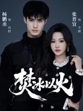 焚冰以火海报