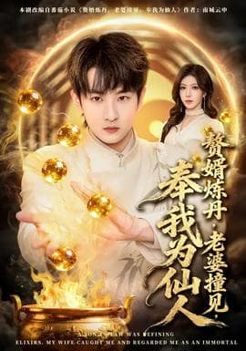 赘婿炼丹，老婆撞见，奉我为仙人海报
