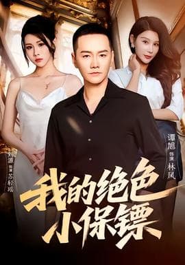 我的绝色小保镖海报