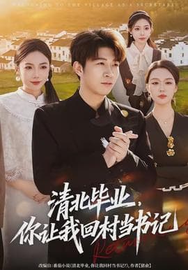 清北毕业，你让我回村当书记海报