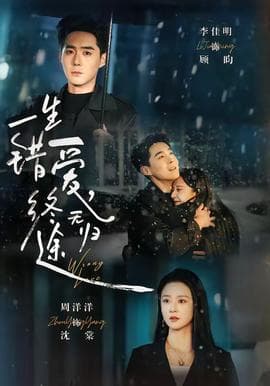 一生错爱，终无归途海报