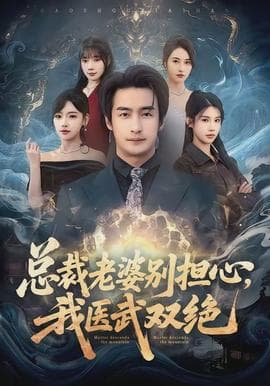 总裁老婆别担心，我医武双绝海报