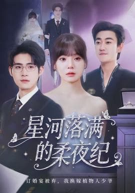 星河落满的柔夜纪海报