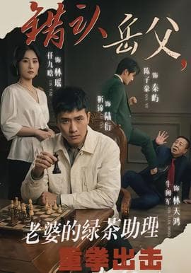错认岳父，老婆的绿茶助理重拳出击海报