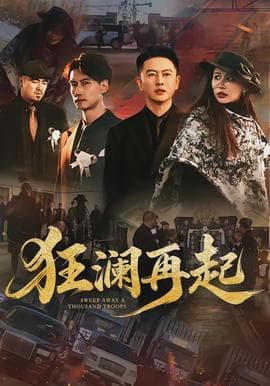 狂澜再起海报
