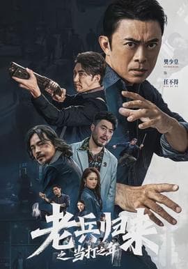老兵归来之当打之年海报
