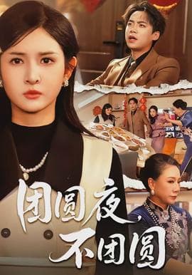 团圆夜，不团圆海报