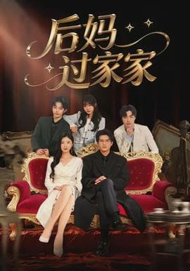 后妈过家家海报