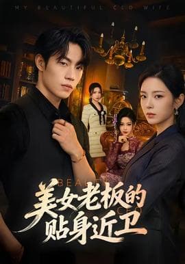 美女老板的贴身近卫海报