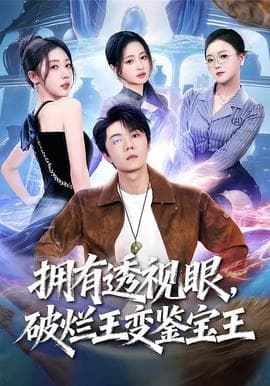 拥有透视眼，破烂王变鉴宝王海报